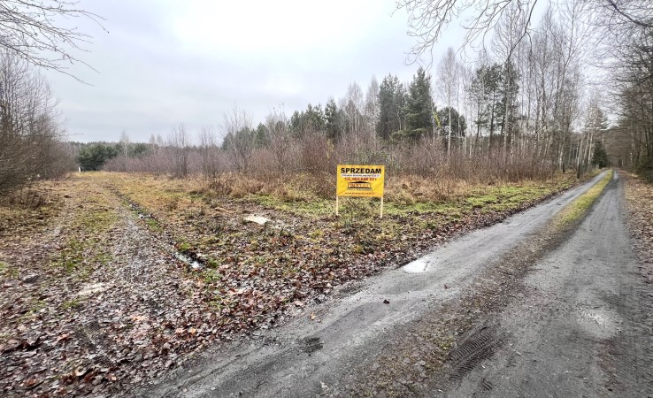 działka na sprzedaż - Dłutów, Huta Dłutowska